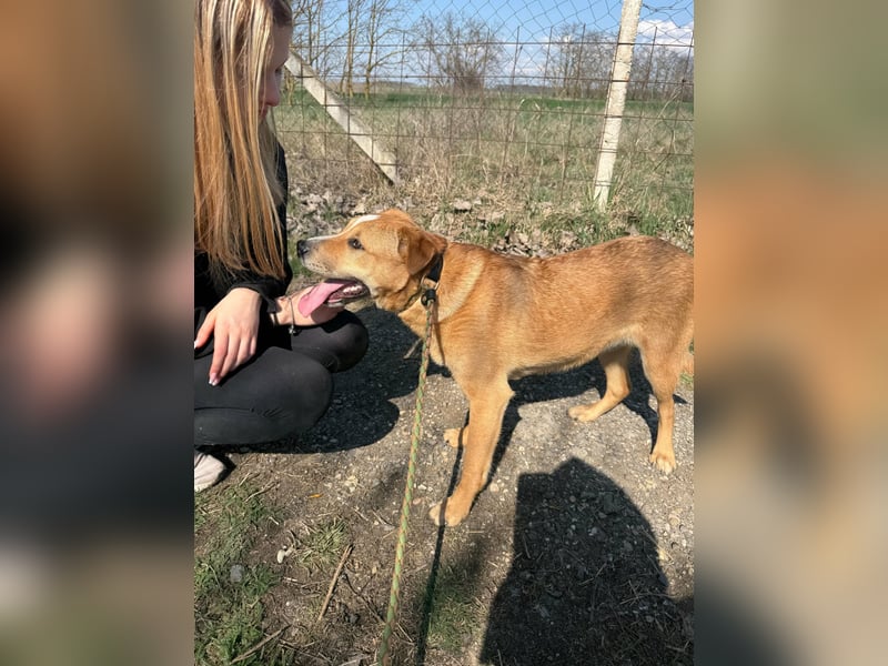 Bambusz, geboren 25.09.2025, 48cm sucht ihr Zuhause