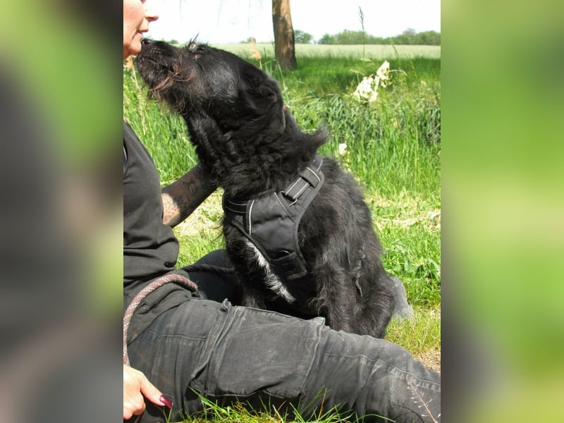 Nancy, geboren 04.2022, 47cm sucht ihr Zuhause