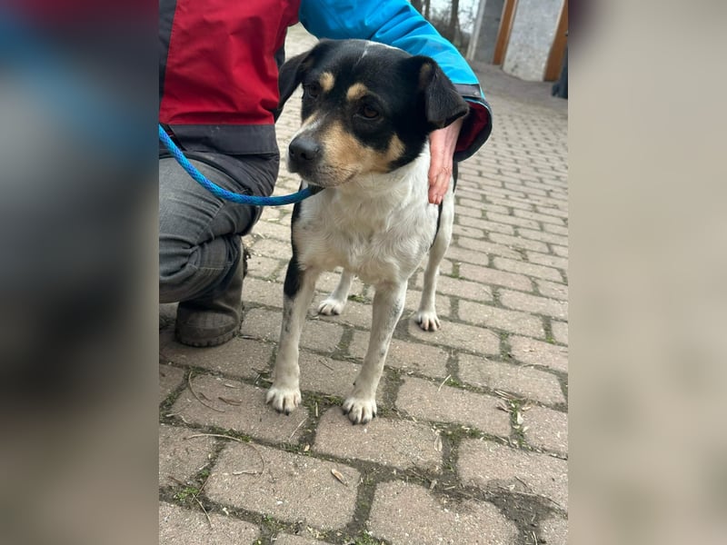 Vanda, geboren 29.01.2024, 47cm sucht ihr Glück