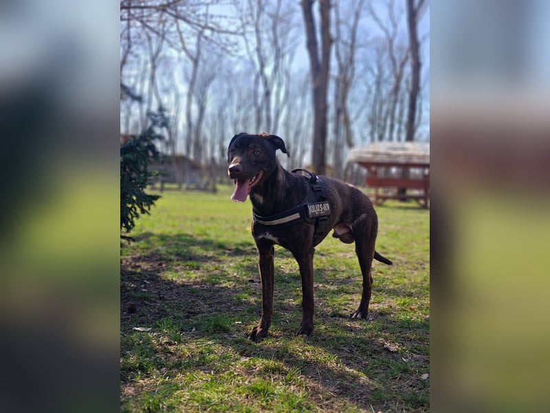 Philip, geb. 04.2025, 53cm sucht seine Menschen