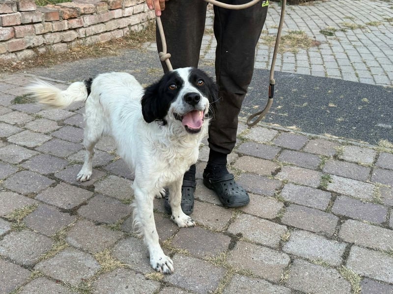 Boy, geboren 02.11.2025, 45cm sucht seine Herzensmenschen