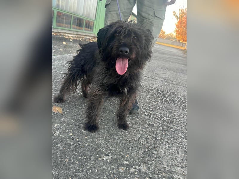 Emi, geboren 19.09.2018, 45cm sucht ihre Familie