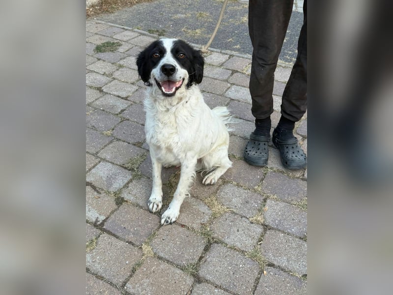Boy, geboren 02.11.2025, 45cm sucht seine Herzensmenschen