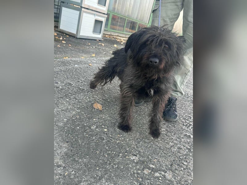 Emi, geb. 09.2018, 45cm sucht ihre Familie
