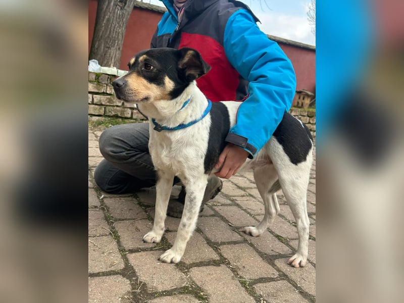 Vanda, geboren 29.01.2024, 47cm sucht ihr Glück