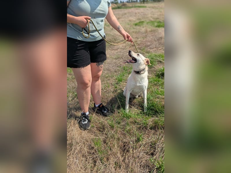 Mirko, geb. 15.10.2021, 49 cm, sucht seine Menschen