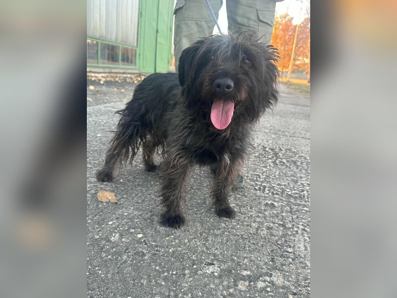 Emi, geboren 19.09.2018, 45cm sucht ihre Familie