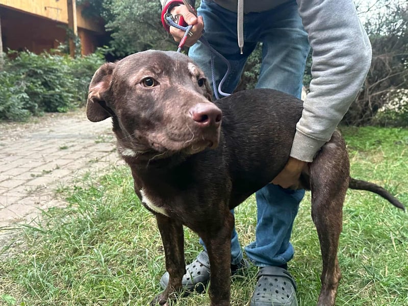 Philip, geboren 28.04.2025, 53cm sucht sein Zuhause