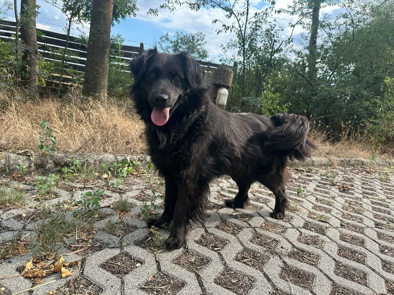 Kamilla, geb. 08.2024, 46cm sucht ihr Glück