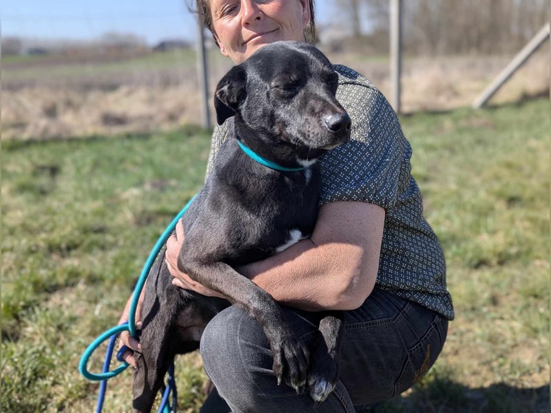 Morty, geb. 10.2020, 49cm, sucht seine Spielgefährten