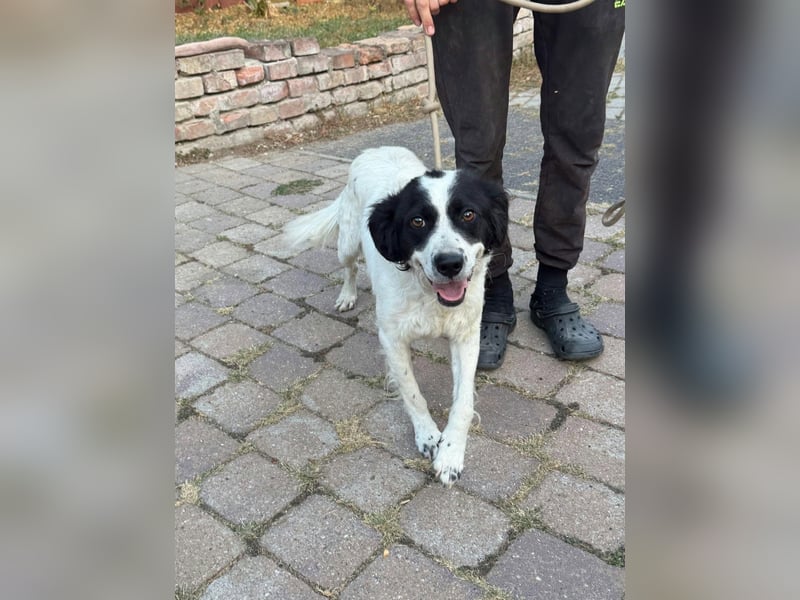 Boy, geboren 02.11.2025, 45cm sucht seine Herzensmenschen