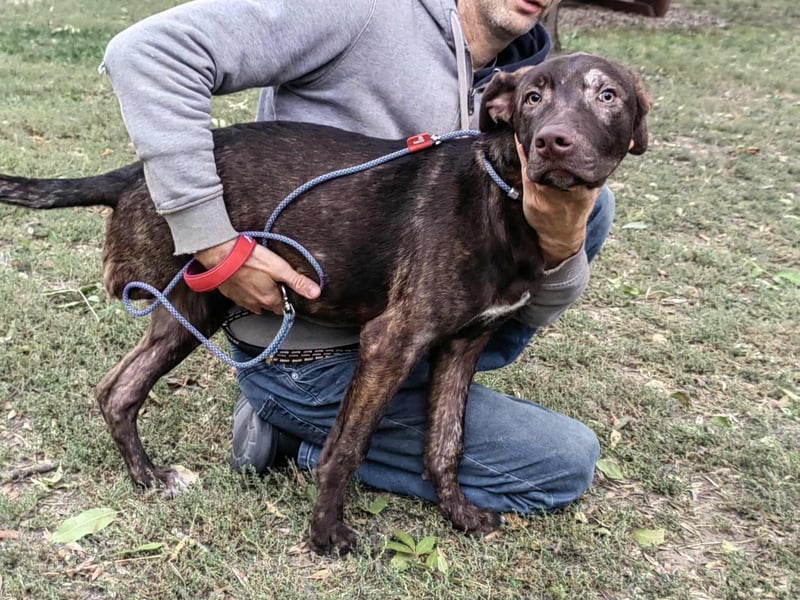 Philip, geboren 28.04.2025, 53cm sucht sein Zuhause