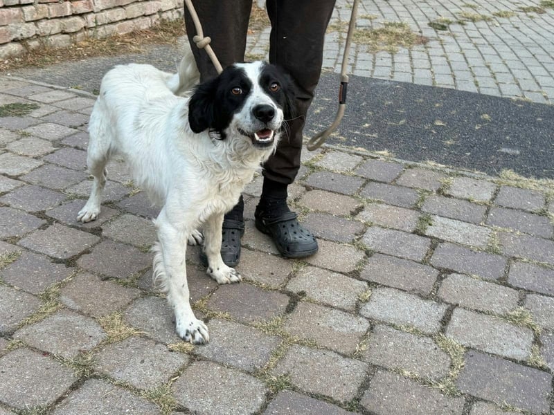 Boy, geboren 02.11.2025, 45cm sucht seine Herzensmenschen