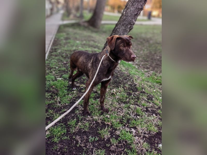 Philip, geb. 04.2025, 53cm sucht seine Menschen