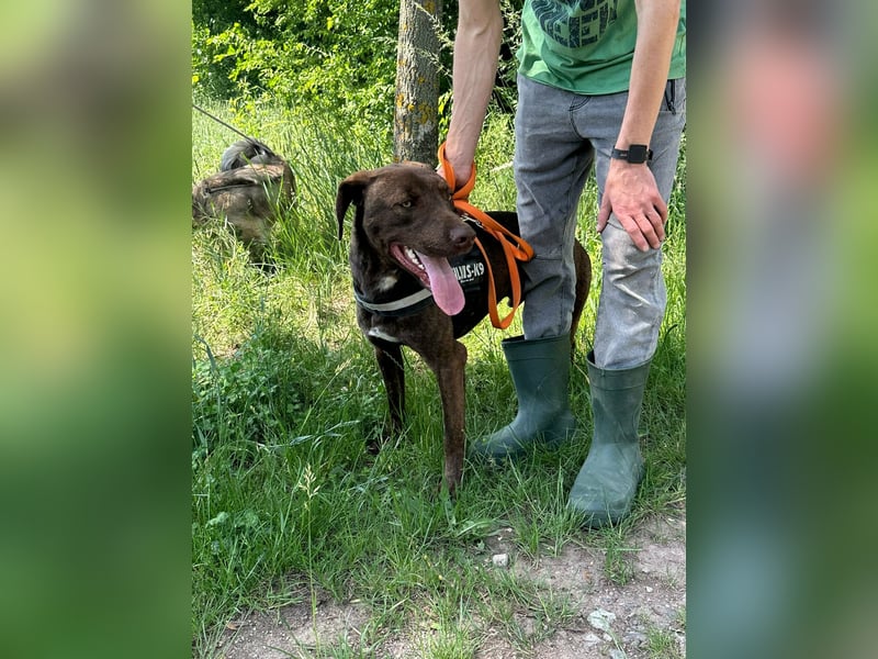 Philip, geb. 28.04.2025, 53 cm, sucht nach seinen Menschen