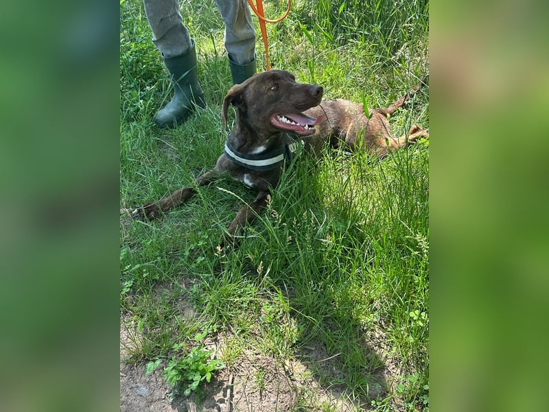 Philip, geb. 28.04.2025, 53 cm, sucht nach seinen Menschen