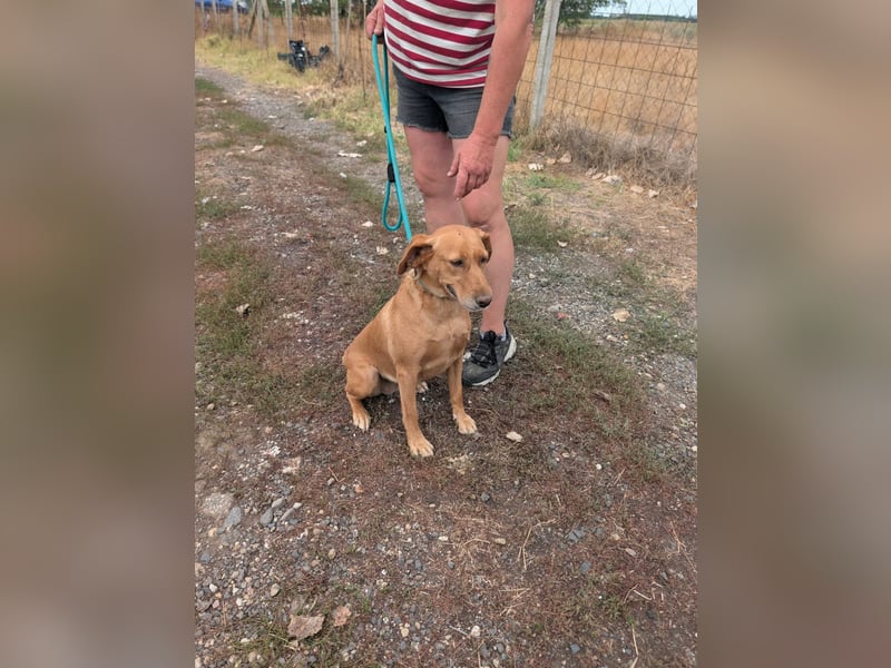 Kanya, geboren 01.01.2024, 49cm sucht ihr Zuhause