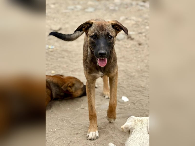 TILLY - Schüchternes Mädchen sucht ihre Familie