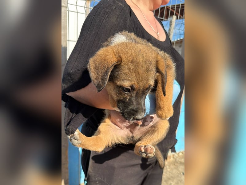KOVU - Neugieriger Bub sucht seine Familie