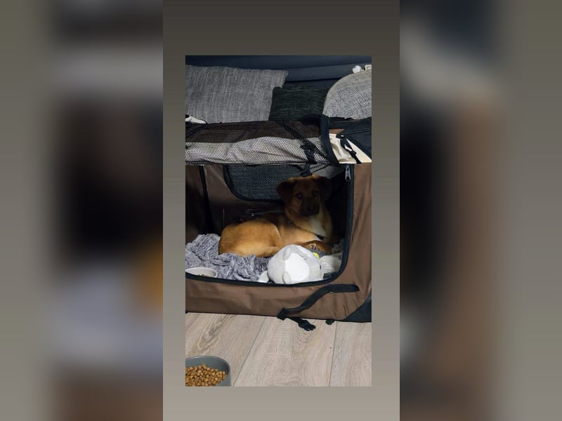 SCHMITZ BACKES - Junger Bub wartet in 41363 Jüchen auf seine Lieblingsmenschen
