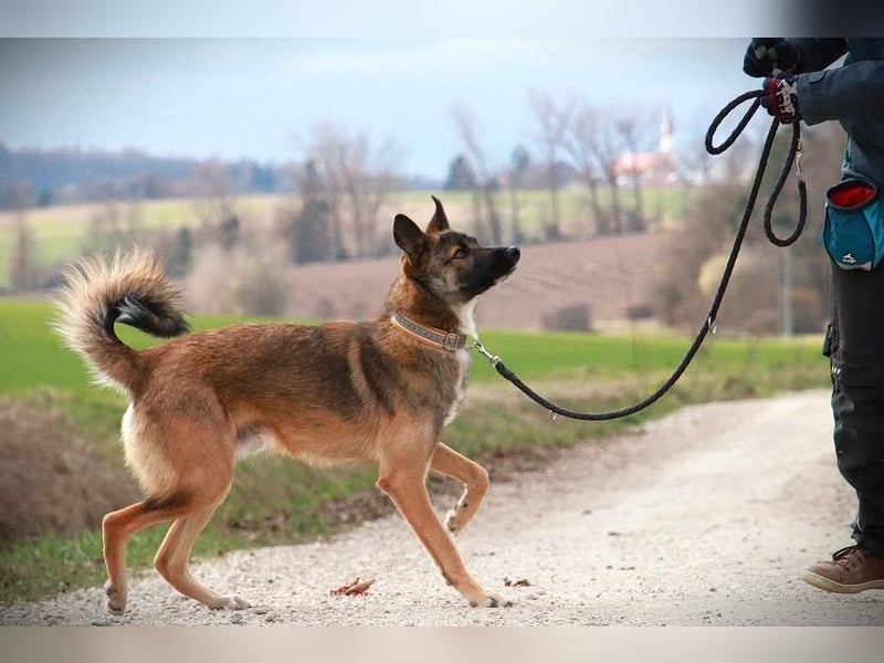 BOOTSMANN - Sucht erfahrene Menschen in 84152 Mengkofen