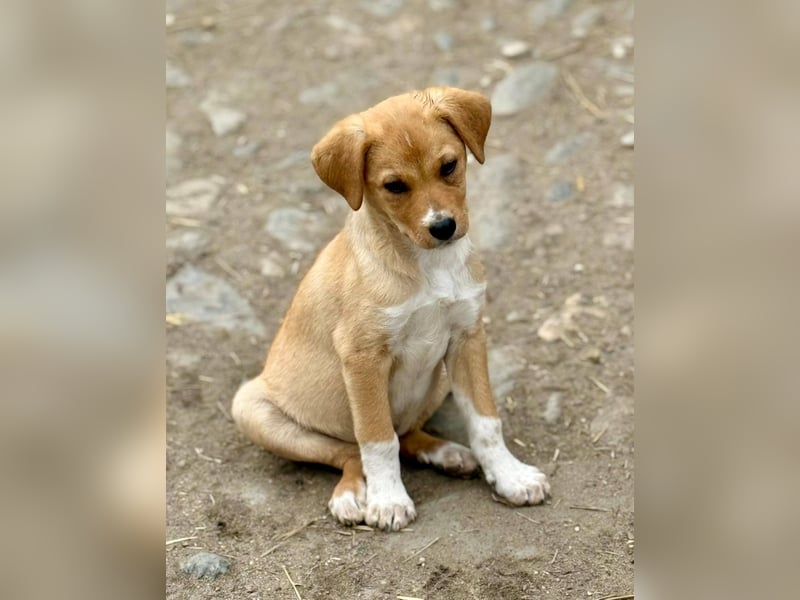 SCHNAPSI - Verspielter junger Mann wartet auf sein Ticket ins Glück