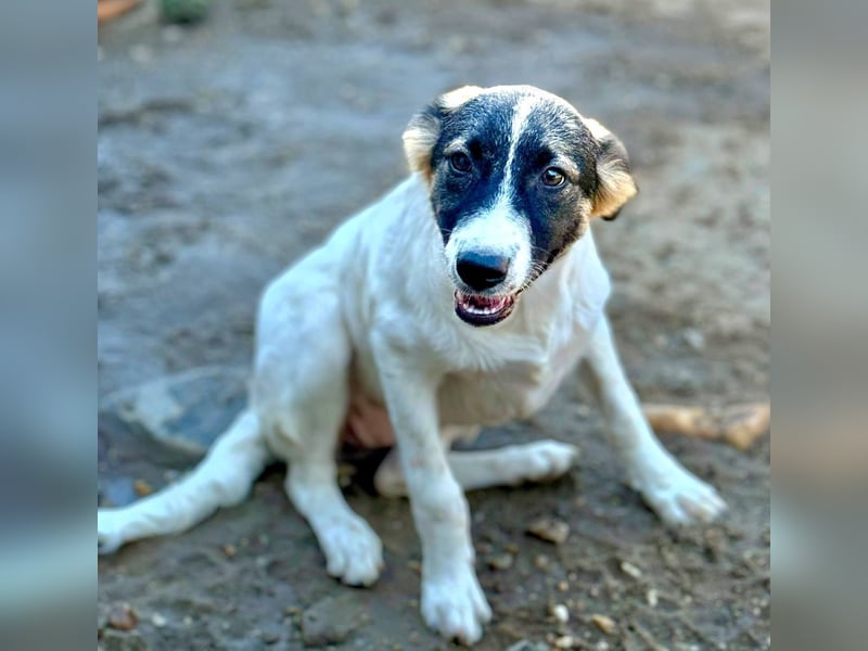 KORRA - Liebevolles, junges Mädchen wartet darauf endlich los zu leben