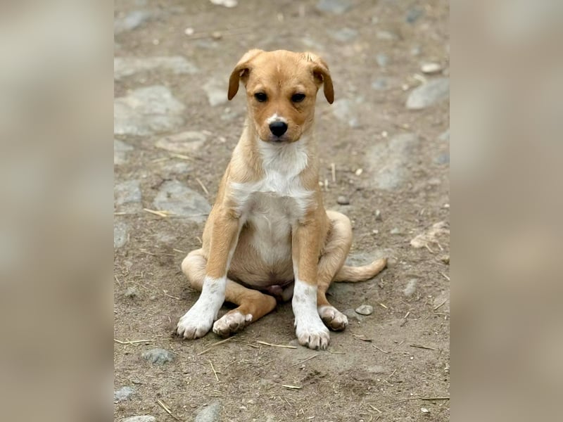 SCHNAPSI - Verspielter junger Mann wartet auf sein Ticket ins Glück