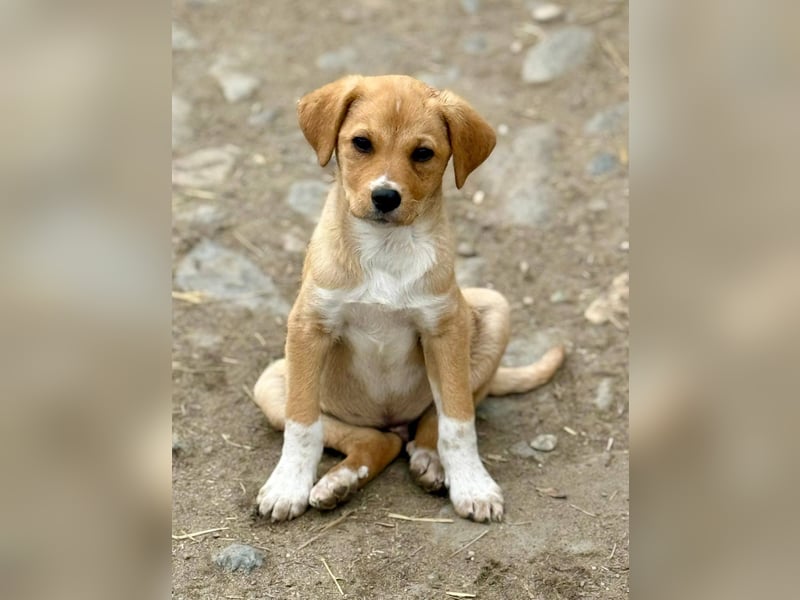 SCHNAPSI - Verspielter junger Mann wartet auf sein Ticket ins Glück