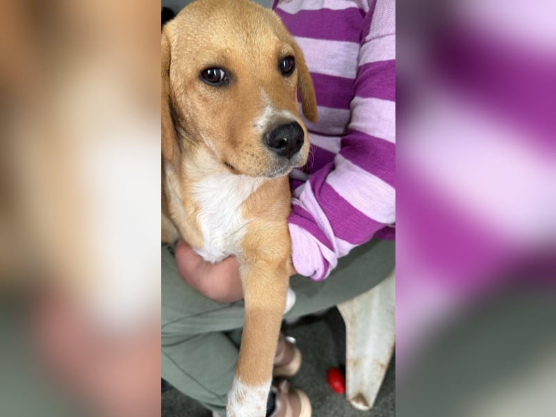 SCHNAPSI - Verspielter junger Mann wartet auf sein Ticket ins Glück