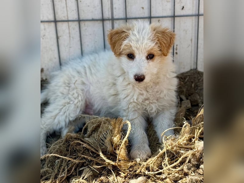 DOMINO - Aufgeschlossener, junger Mann sucht seine Lieblingsmenschen