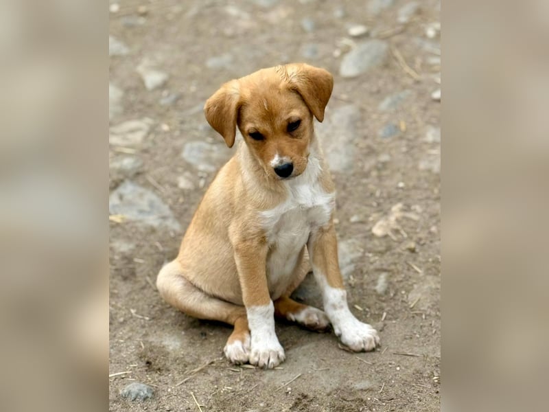 SCHNAPSI - Verspielter junger Mann wartet auf sein Ticket ins Glück