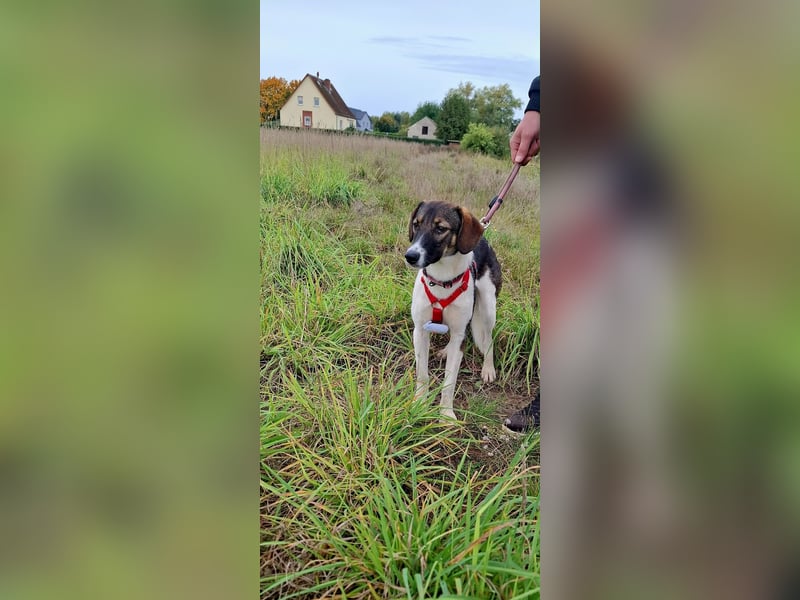 NOE - Entdeckerin sucht ihre Lieblingsmenschen