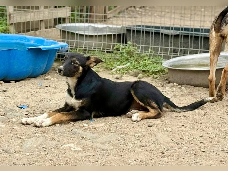 LARICA - Schüchternes Mädchen sucht ihren sicheren Hafen