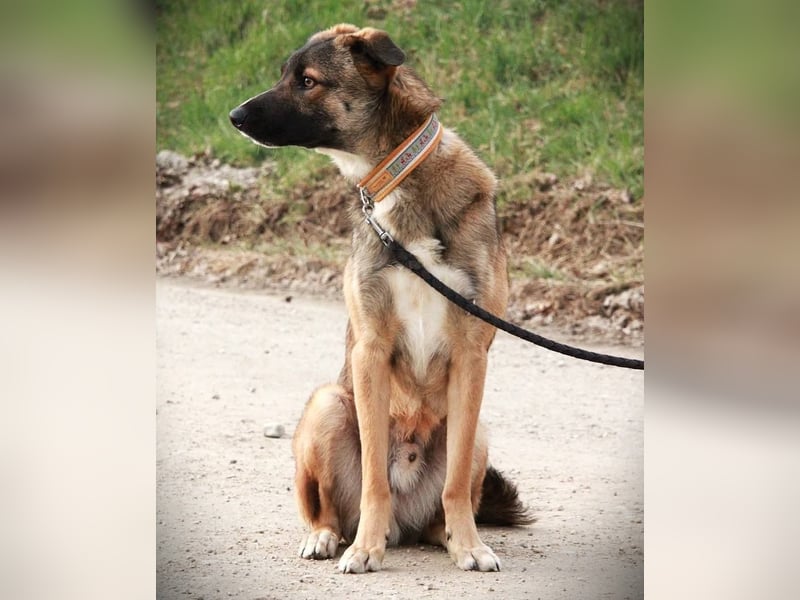 BOOTSMANN - Sucht erfahrene Menschen in 84152 Mengkofen