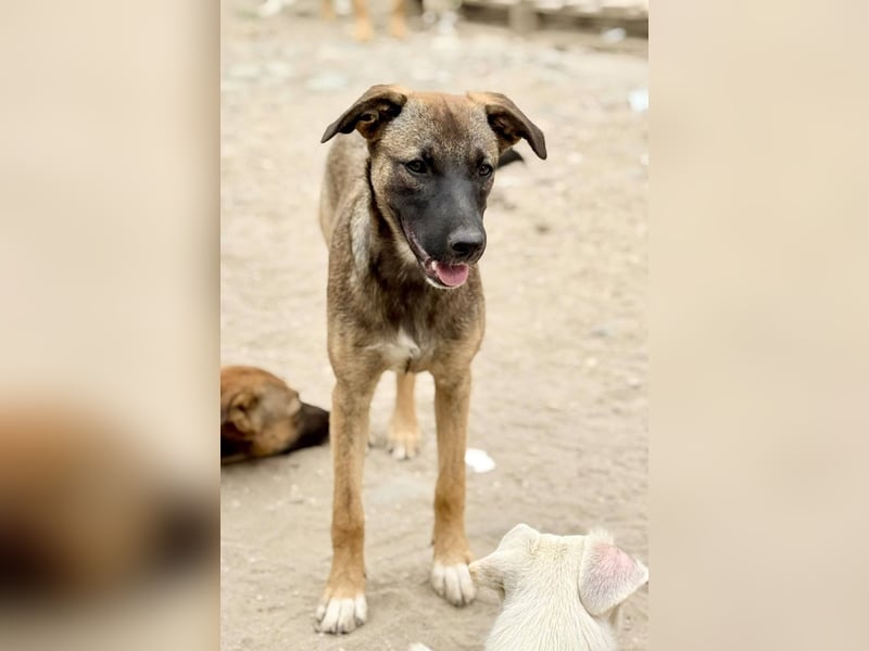 TILLY - Schüchternes Mädchen sucht ihre Familie