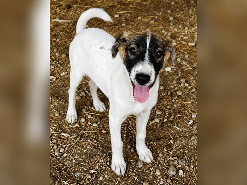 KORRA - Liebevolles, junges Mädchen wartet darauf endlich los zu leben