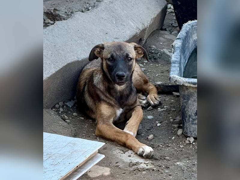 TILLY - Schüchternes Mädchen sucht ihre Familie