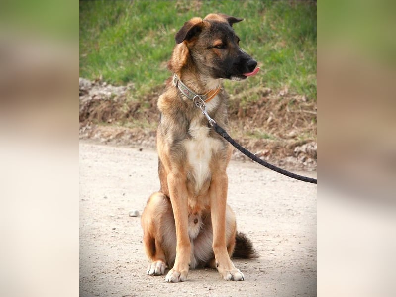 BOOTSMANN - Sucht erfahrene Menschen in 84152 Mengkofen