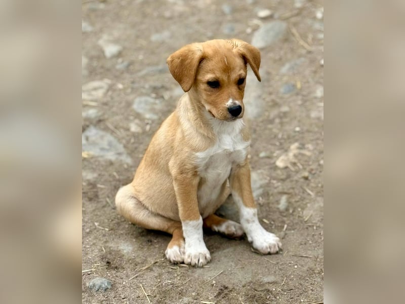 SCHNAPSI - Verspielter junger Mann wartet auf sein Ticket ins Glück