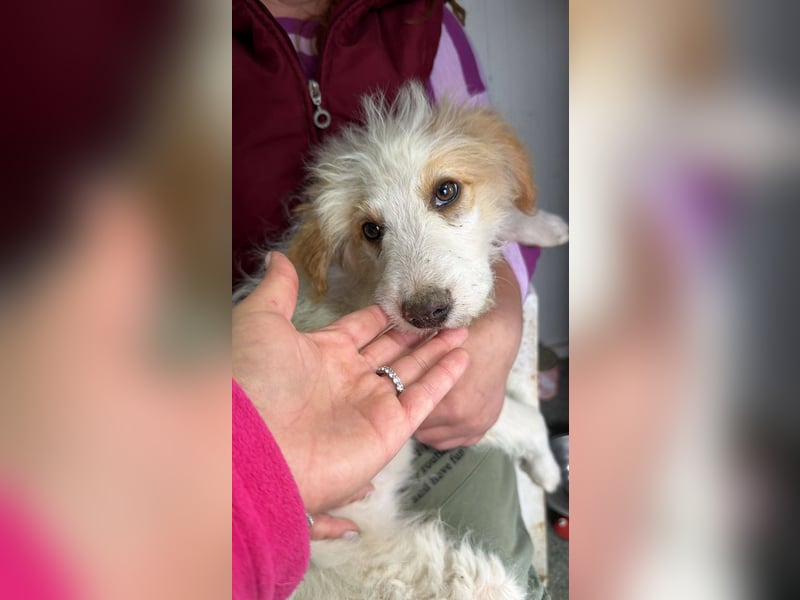 DOMINO - Aufgeschlossener, junger Mann sucht seine Lieblingsmenschen