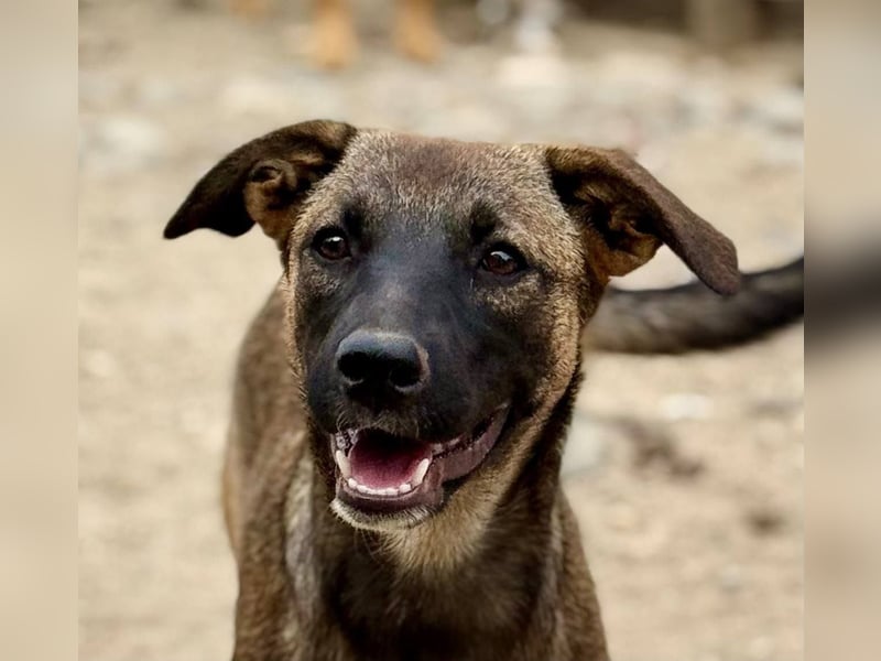 TILLY - Schüchternes Mädchen sucht ihre Familie