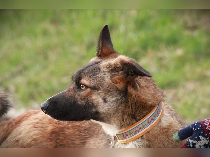 BOOTSMANN - Sucht erfahrene Menschen in 84152 Mengkofen