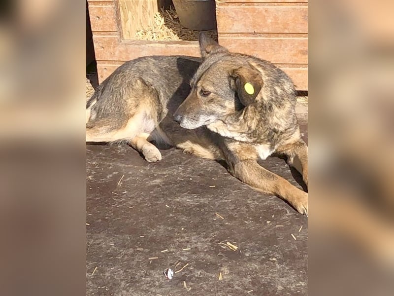 ARIJA, eine ganz sanfte Seele