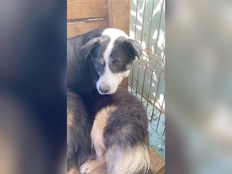 URO, ganz armer Wurm