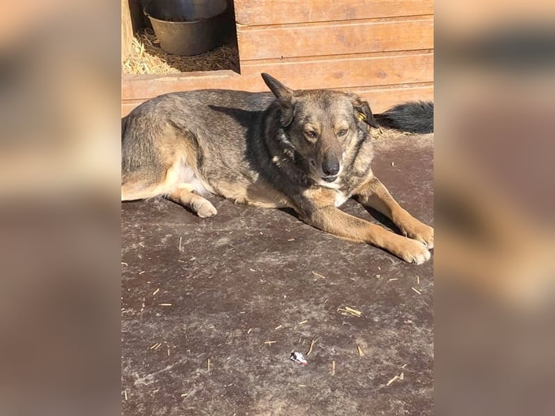 ARIJA, eine ganz sanfte Seele