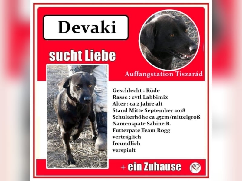 Devaki