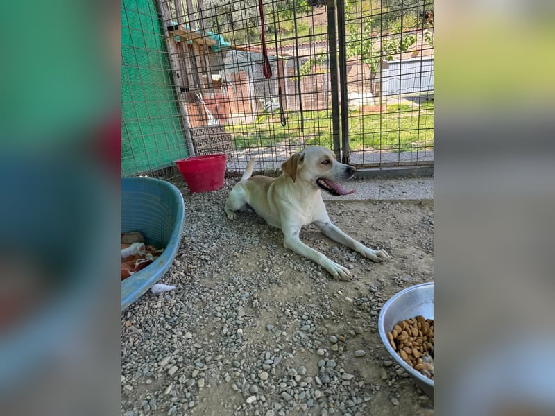 Zuhause verloren – Hoffnung gesucht: Argo