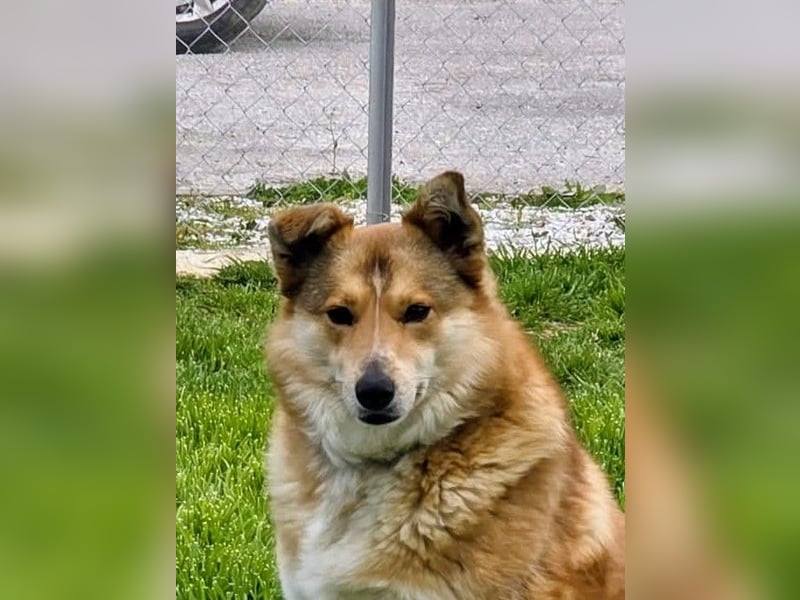 Jilda wünscht sich ihre eigene Familie