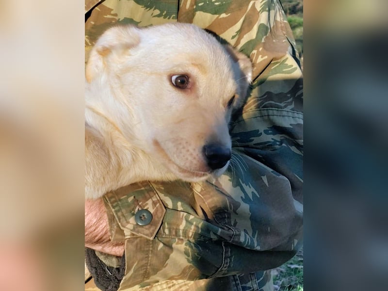 Ralph ist ein echter Schatz!